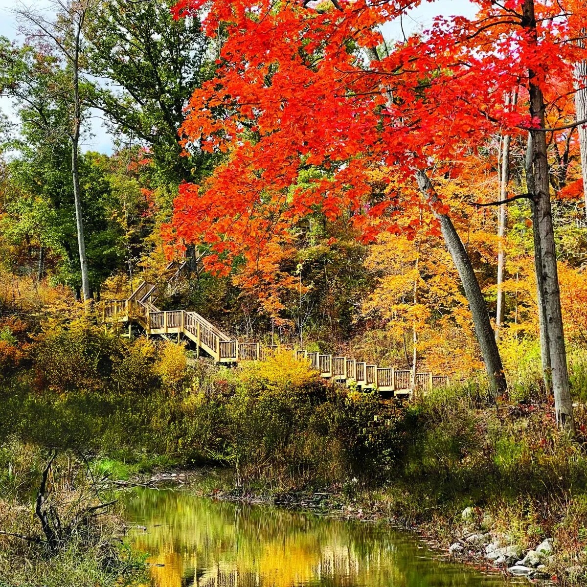 Jean and John Greene Nature Preserve Walk - logo